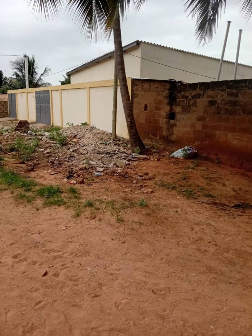 Terrain de 300 m² en vente à Avédji Coconut, à 120m du goudron – 25 millions FCFA