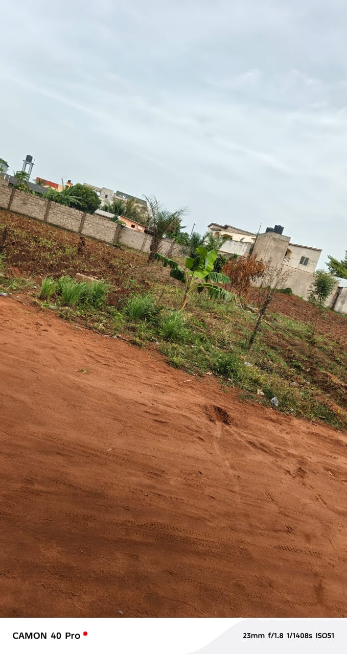 Terrain de 1 lot et 1/4 à Agoè Legbassito Avinato en vente – 30 millions FCFA