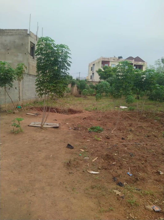 Terrain de 500 m² en vente à Sanguéra derrière la Mairie - 14.000.000 FCFA