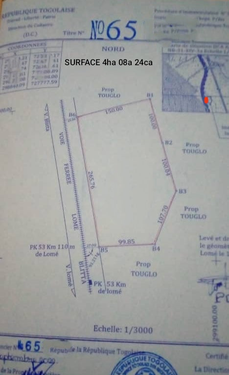 Terrain de 4 hectares en vente à Tsevié Lilikopé Touni Kopé – 20 millions FCFA l'hectare