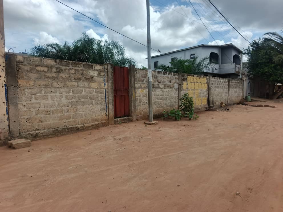 Terrain de 1 lot en vente à Sanguera-KOPEGAN – 22 millions FCFA