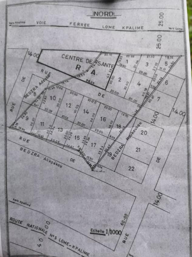 Terrain de 1200 m² en vente à Zanguera, proche du goudron – 18 millions FCFA
