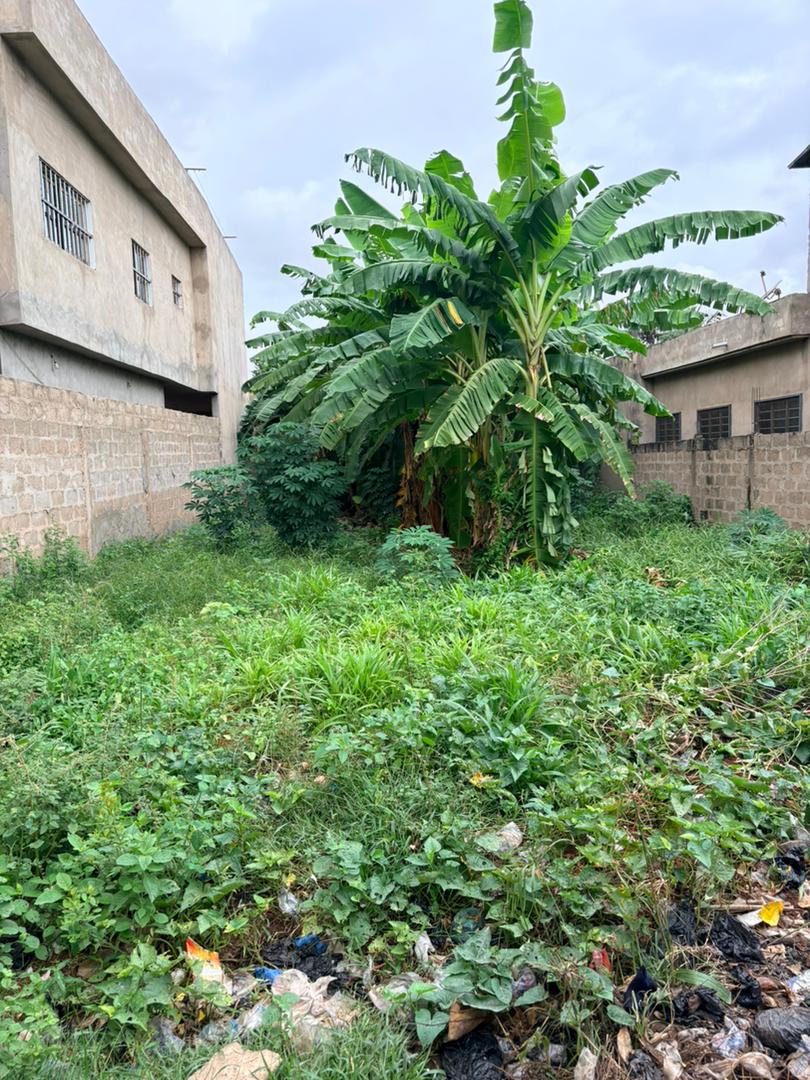 Demi lot rectangulaire en vente à Legbassito Derrière Les Soeurs – 14 millions FCFA