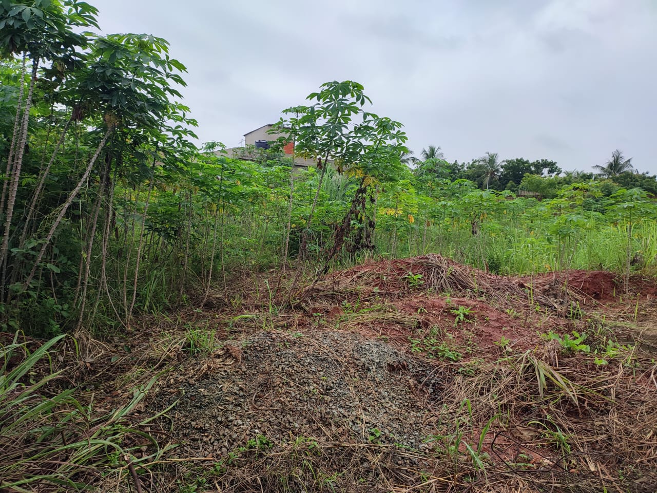 Lot de terrain clôturé en vente à Segbé Carrefour Démé – 25 000 000 FCFA