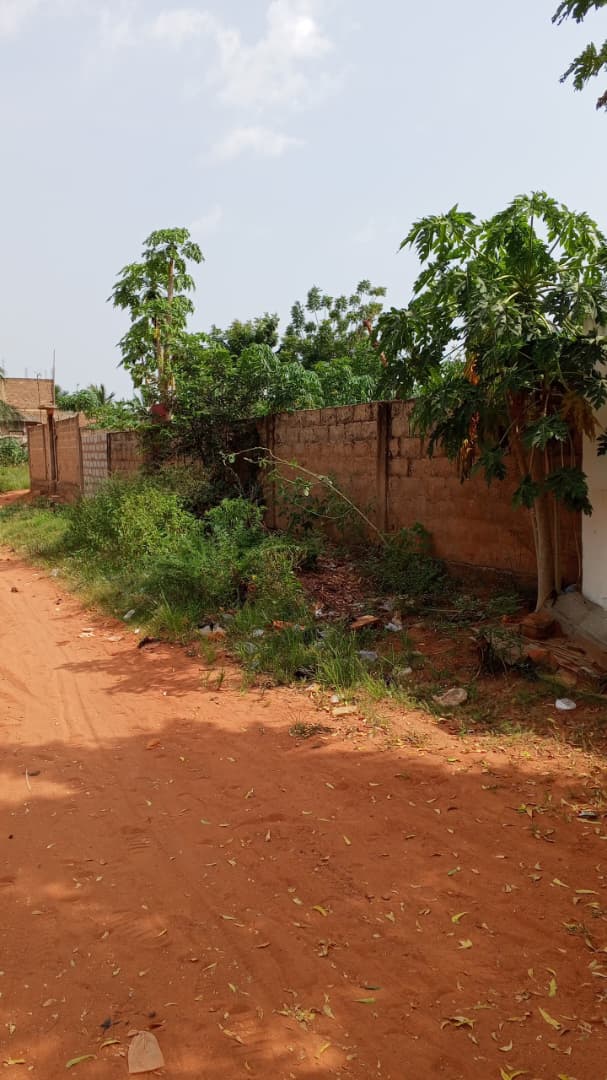 Terrain de 1200 m² en vente à Djagblé - 16 millions FCFA le lot