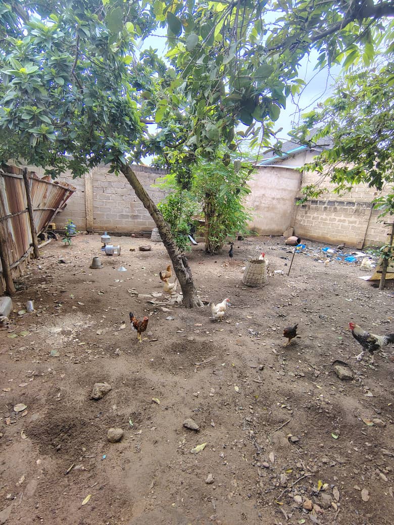 Terrain d'un demi-lot en vente à Avedji CEG – 20 millions FCFA