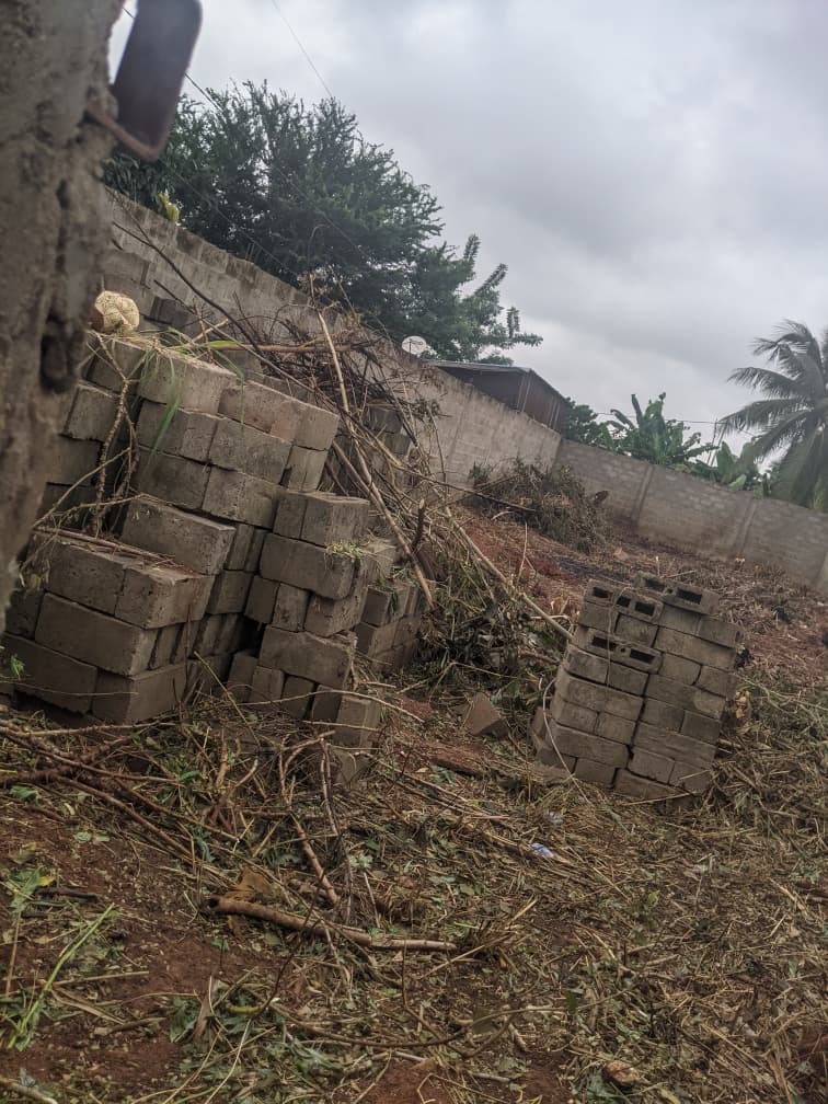 Terrain de 300 m² en vente à Sagbado Logoter – 15 millions FCFA