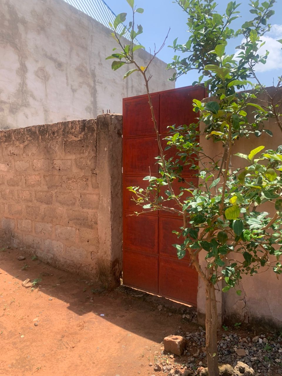 Terrain de 300 m² en vente à Ségbé Zanvi – 12 millions FCFA