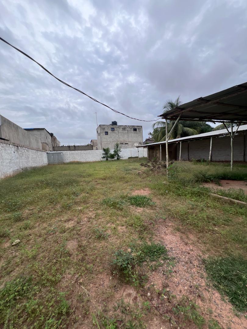 Demi lot de terrain vide, clôturé à vendre à Agoé Légbassito – 14 millions FCFA