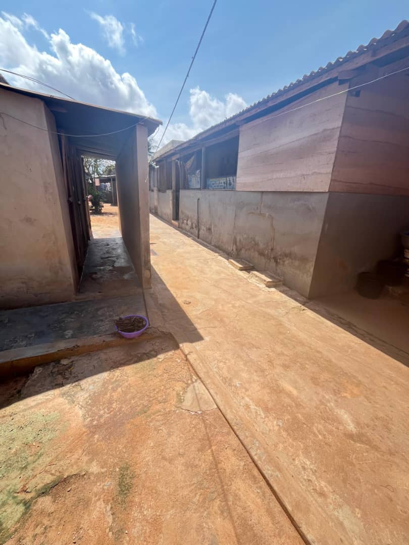 Maison 5 pièces en vente à Amadahomé – 25 millions FCFA