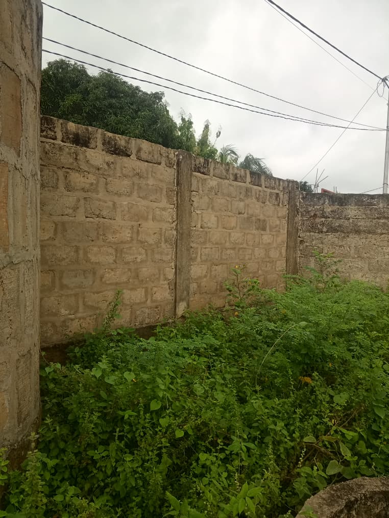 Terrain de 300 m² à vendre à Kloblatemé – 9 millions FCFA