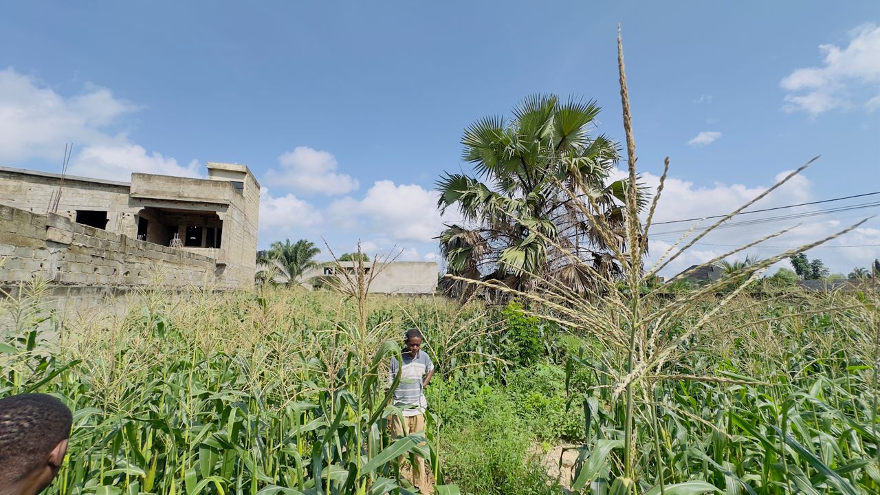 Terrain 1 lot en vente en angle de rue à Zanguéra UCAO – 22 millions FCFA