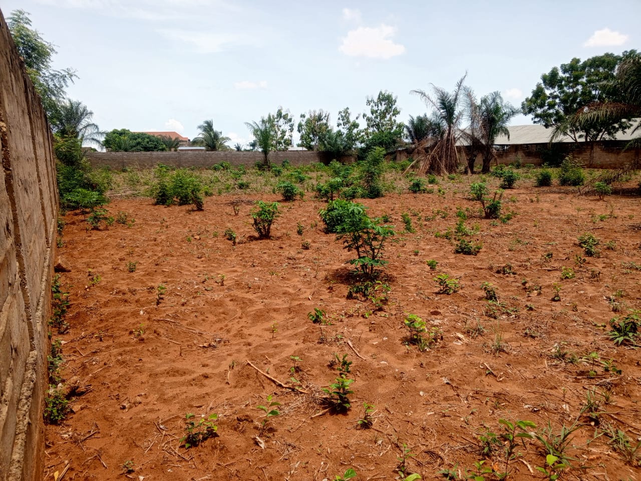 Terrain de 1200 m² en vente à Djagblé Gbama-Kopé CEG – 18 millions FCFA le lot