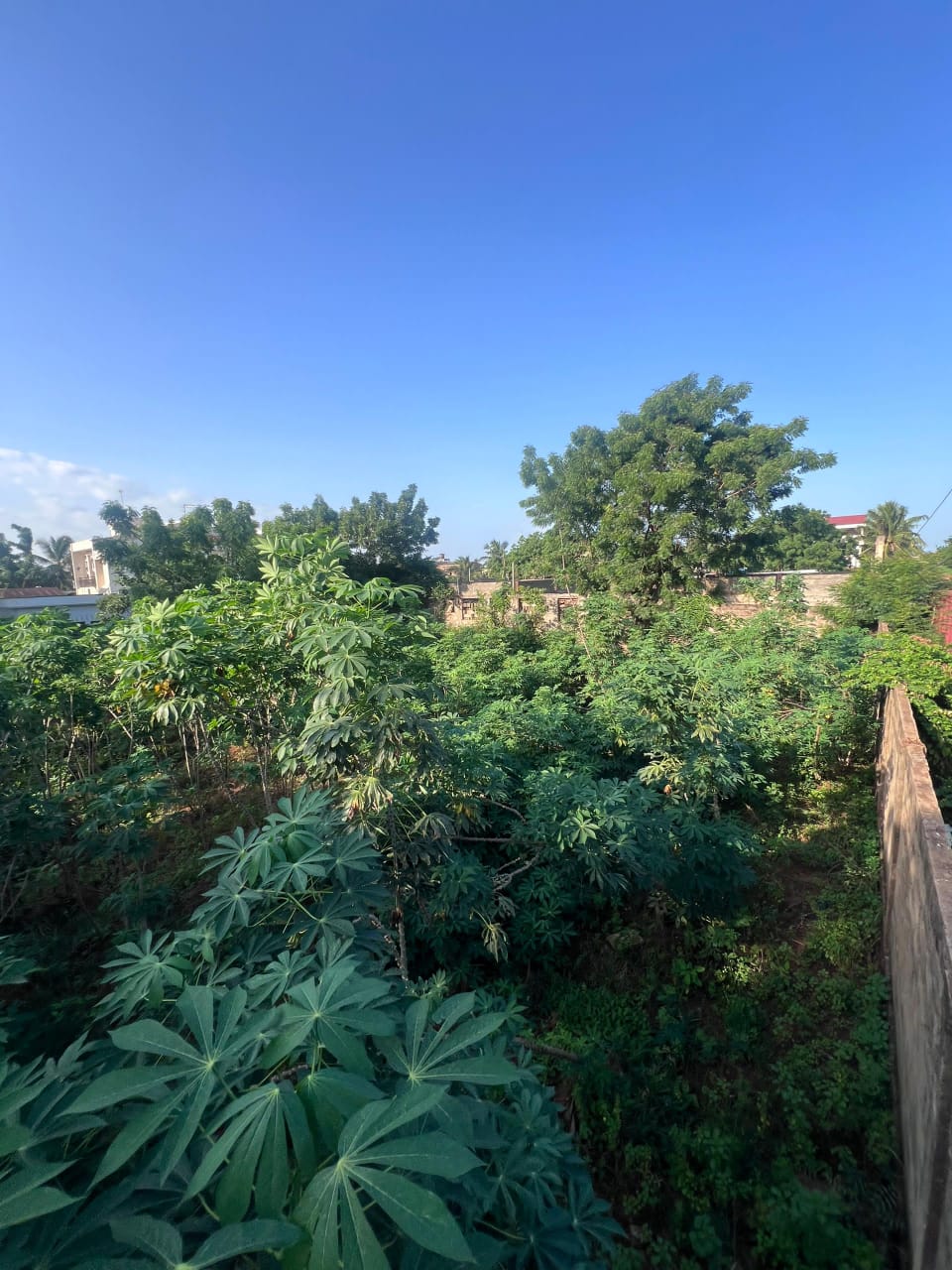Terrain en vente à Agoè Kitidjan – 60 millions FCFA