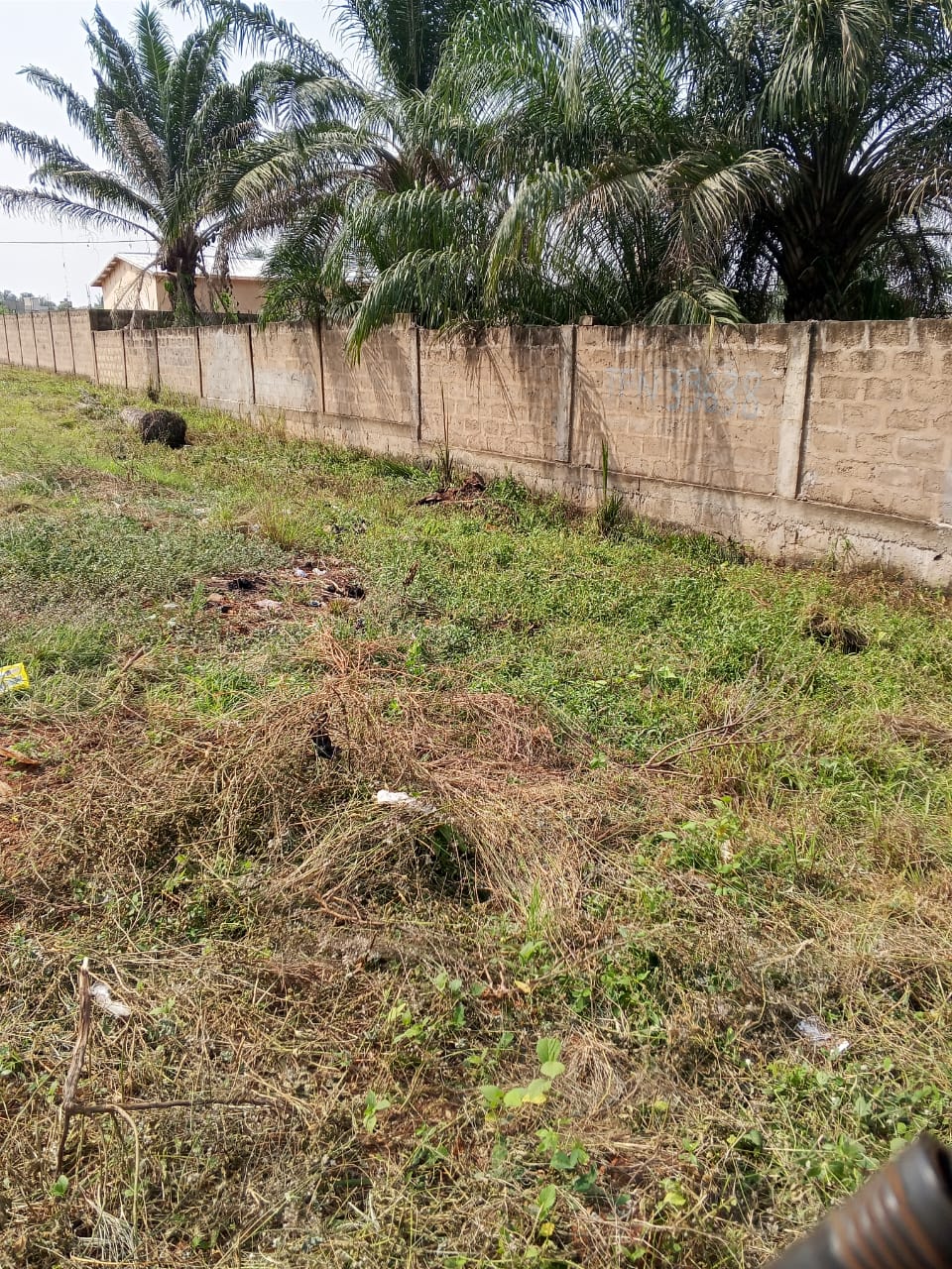 Terrain de 1406 m² en vente à Adetikopé – 45 millions FCFA