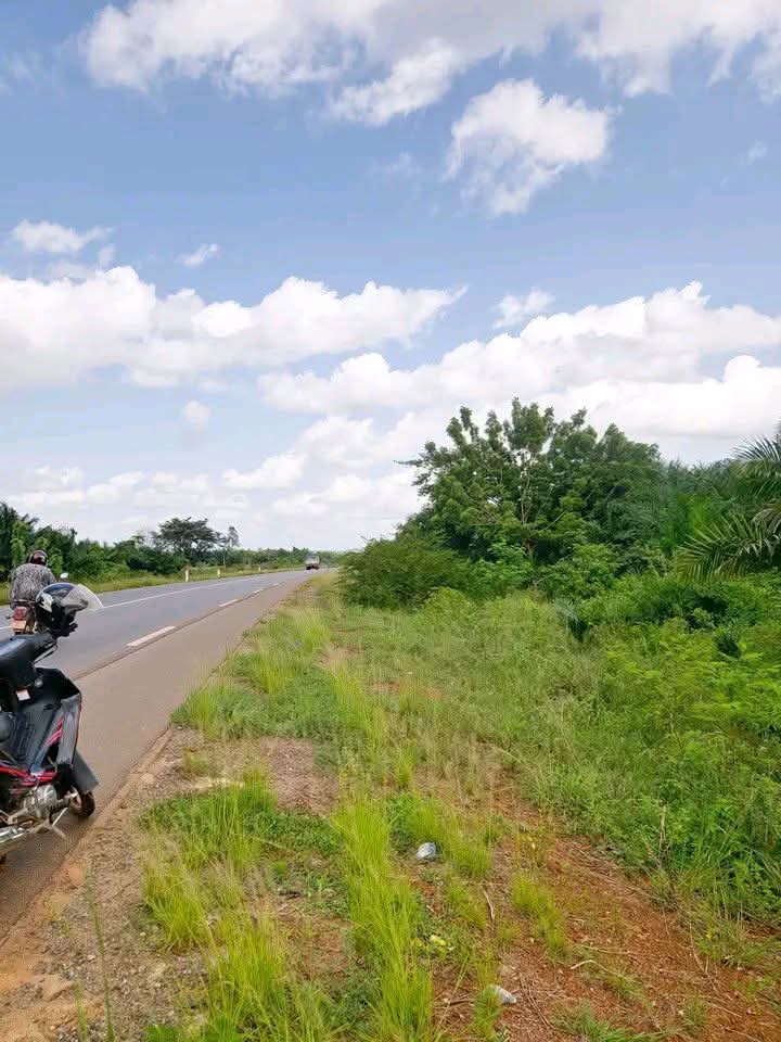 Terrain de 600 m² en vente en bordure de goudron à Badja sur la nationale Lomé-Kpalime - 4,5 millions FCFA le lot
