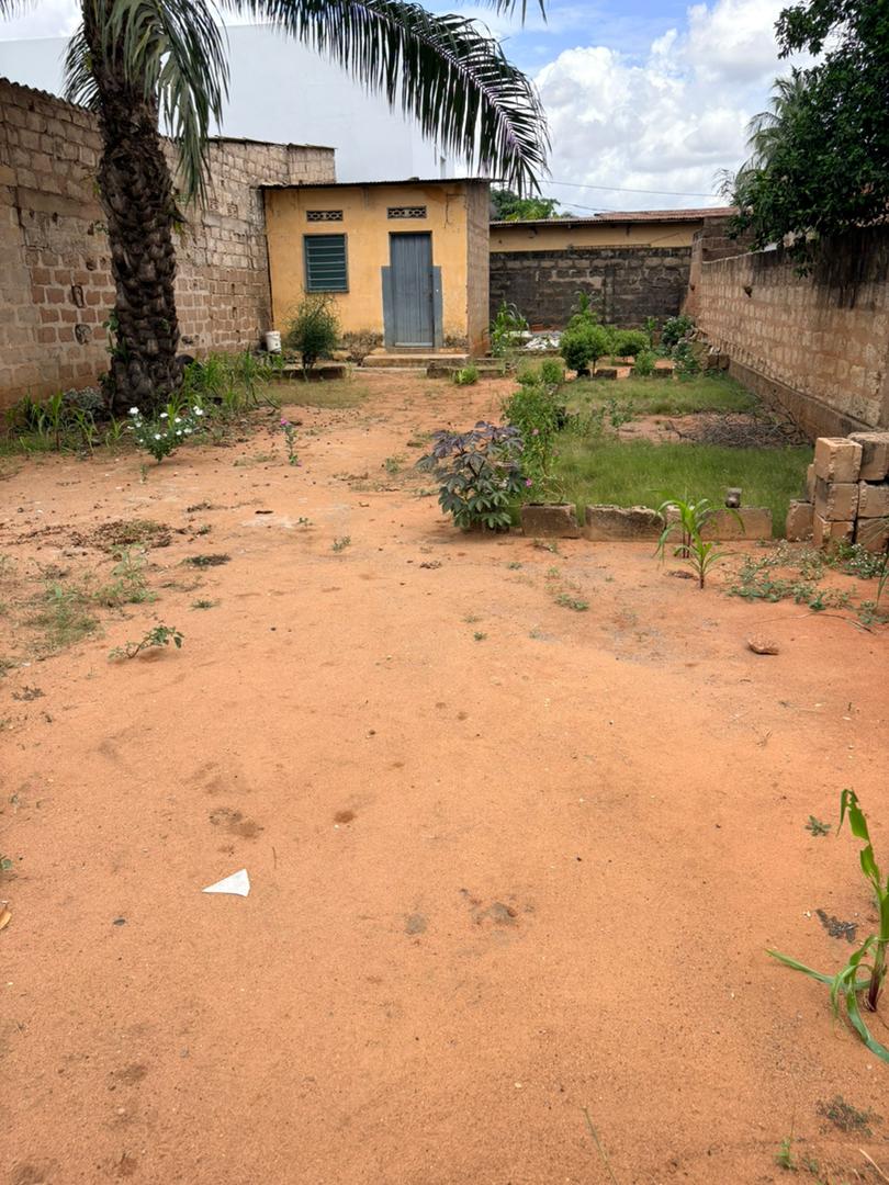 Terrain de 259 m² en vente à Totsi Gblinkomé – 23 millions FCFA