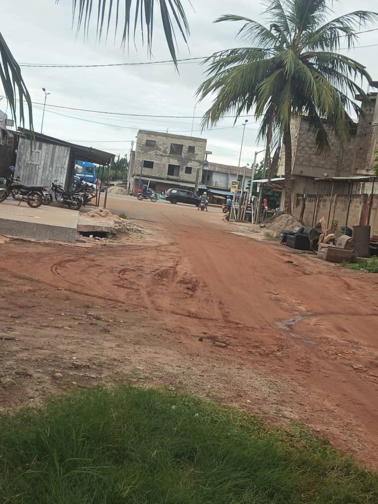 Terrain de 397 m² en vente à Zanguéra Atilamonou