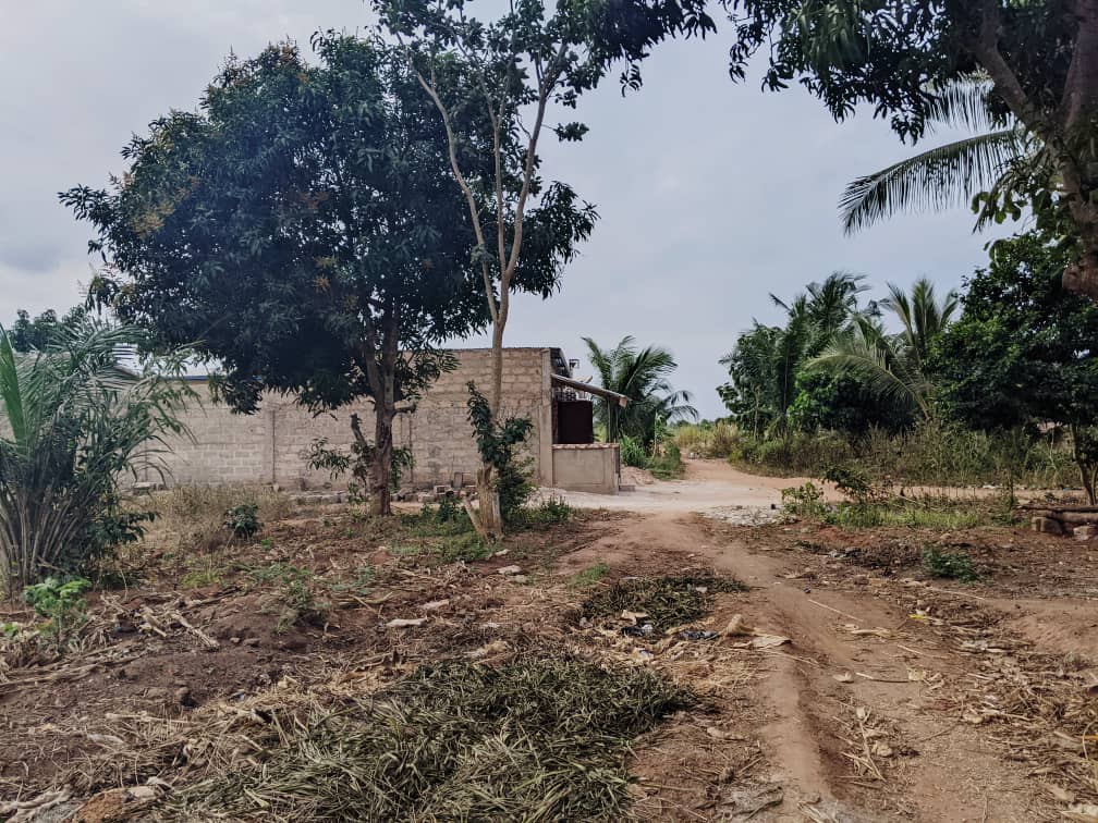 Terrain de 600 m² en vente à Adidogomé derrière le cour primaire – 8 millions FCFA
