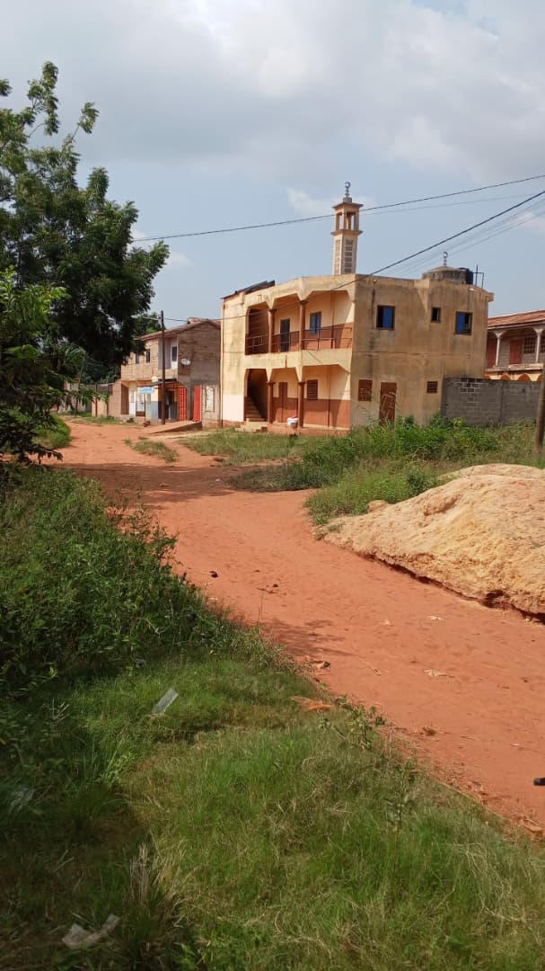Terrain de 1200 m² en vente à Djagblé - 16 millions FCFA le lot