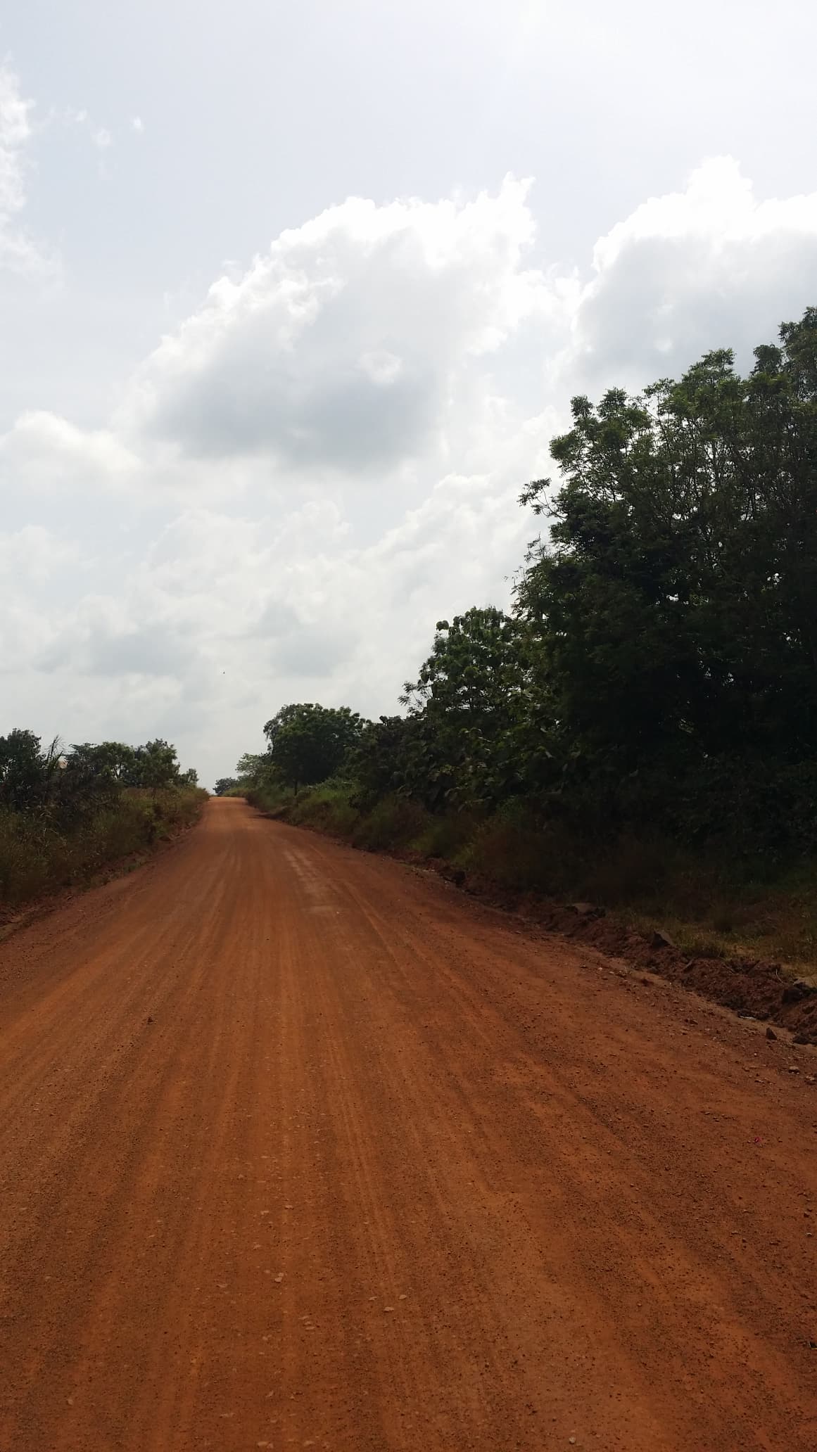 Terrain de 636 hectares en vente à Badja – 2,5 millions FCFA l'hectare