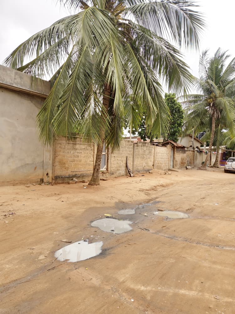 Terrain de 300 m² en vente à Sanguéra Klemé – 13 millions FCFA