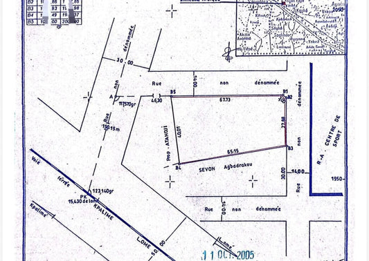 Terrain de 4 lots en vente à Sanguéra Atilamonou – 22 millions FCFA le lot