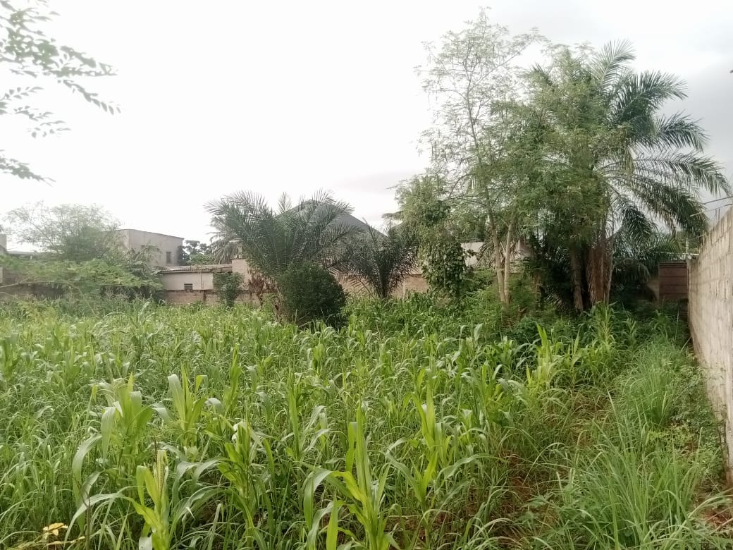 Terrain de 2 lots en vente à Agoè à côté de Camp de Police – 22 millions FCFA le lot