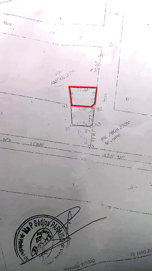 Terrain de 300 m² avec 2 pièces en vente à Zanguera au bord du goudron – 35 millions FCFA