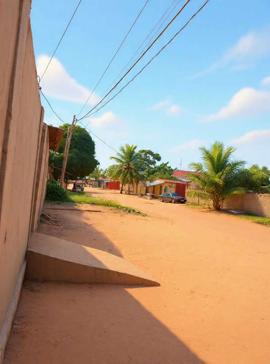 Terrain de 600 m² avec 1 chambre en vente proche du goudron à Zanguera – 25 millions FCFA