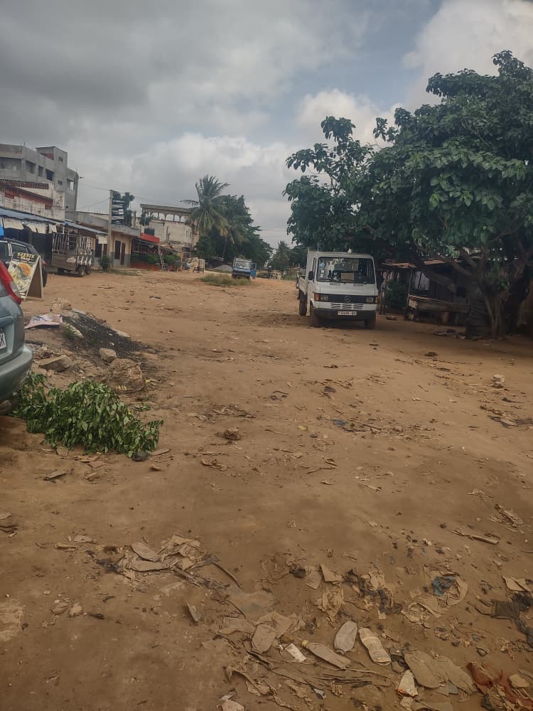 Terrain 04 lots en vente à 20 m du goudron à Agoé Assiyéyé – 95 millions FCFA le lot