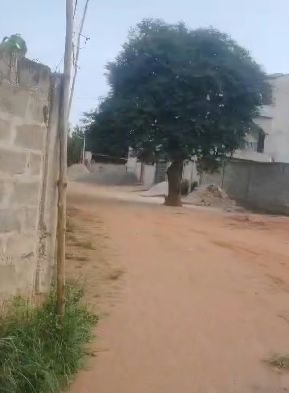 Terrain 1 lot en vente angle rue à Segbé – 25 millions FCFA