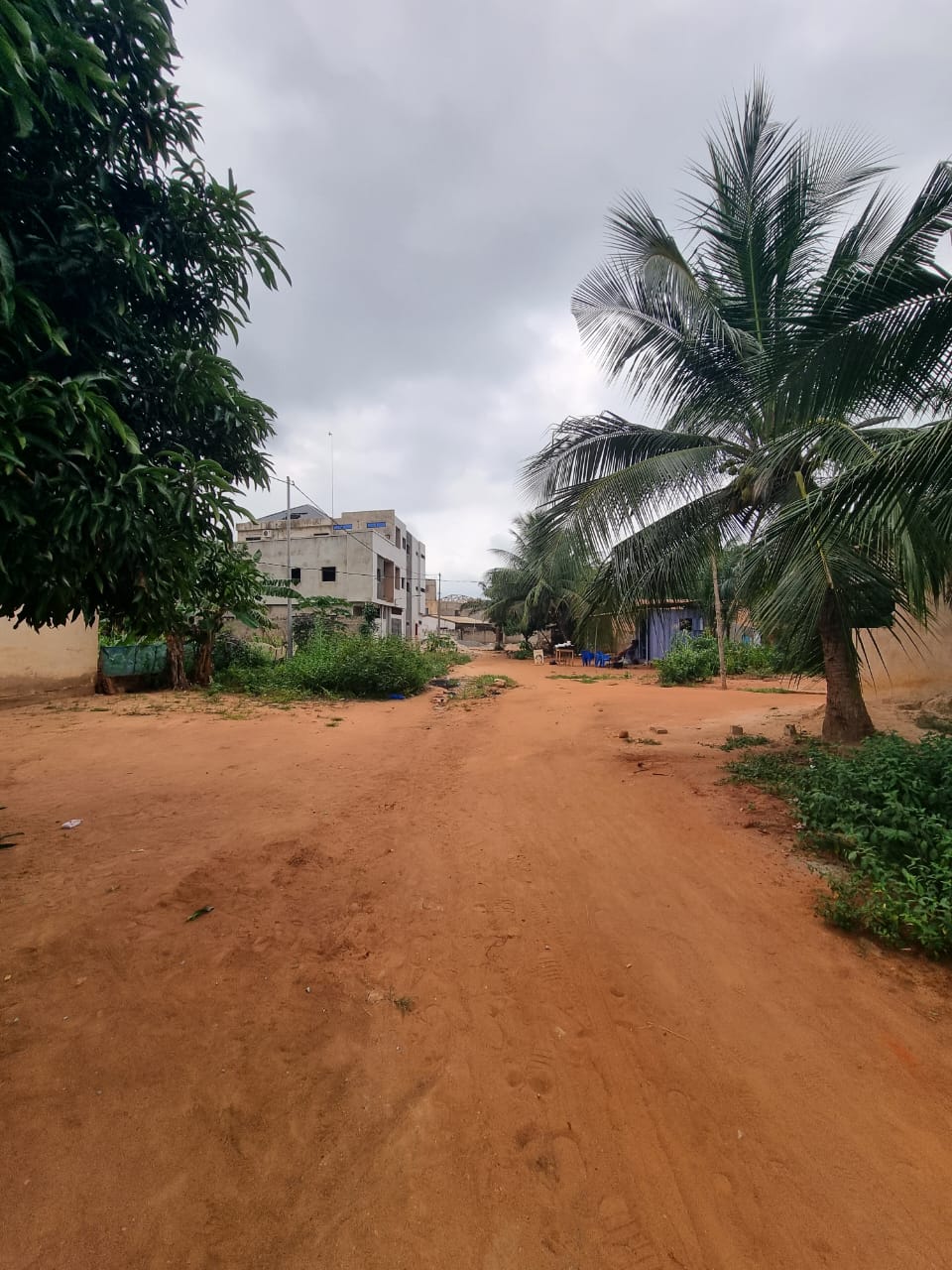 Demi-lot clôturé à vendre à Ségbé Akato Catholique – 9 000 000 FCFA