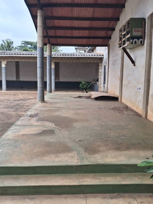 Maison 4 chambres avec garage de 600 m² en vente à Zanguera – 30 000 000 FCFA