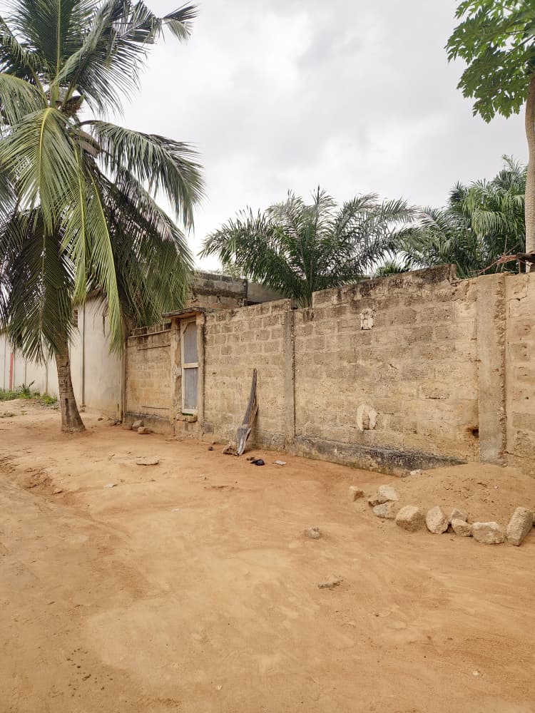 Terrain de 300 m² en vente à Sanguéra Klemé – 13 millions FCFA