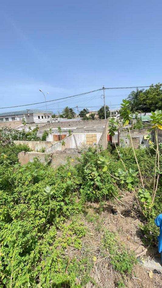 Terrain 1 lot en vente en bordure du goudron sur le Boulevard Circulaire du 13 Janvier – 300 millions FCFA