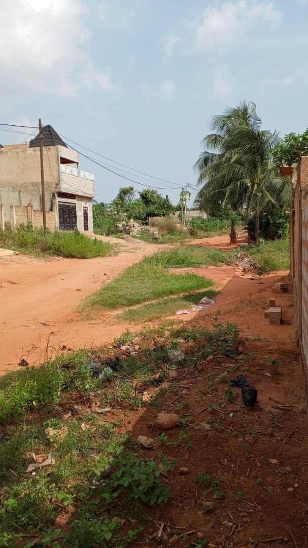 Terrain de 1200 m² en vente à Djagblé - 16 millions FCFA le lot