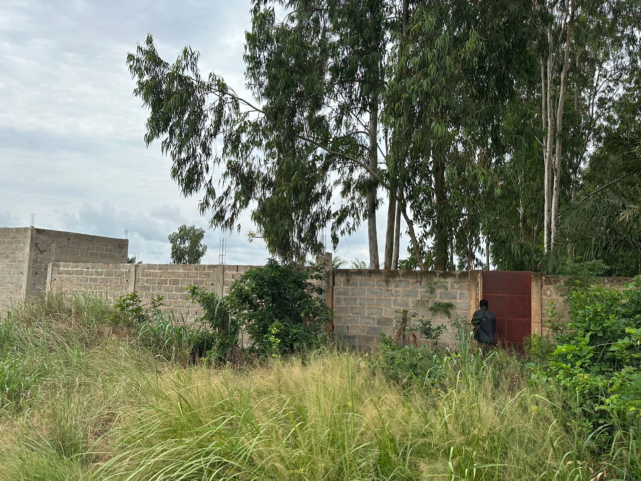 Terrain de 600 m² en angle de rue en vente à Légbassito-tové – 25 000 000 FCFA le lot