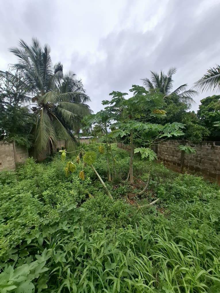 Terrain cloturé en vente à Ségbé – 28 000 000 FCFA
