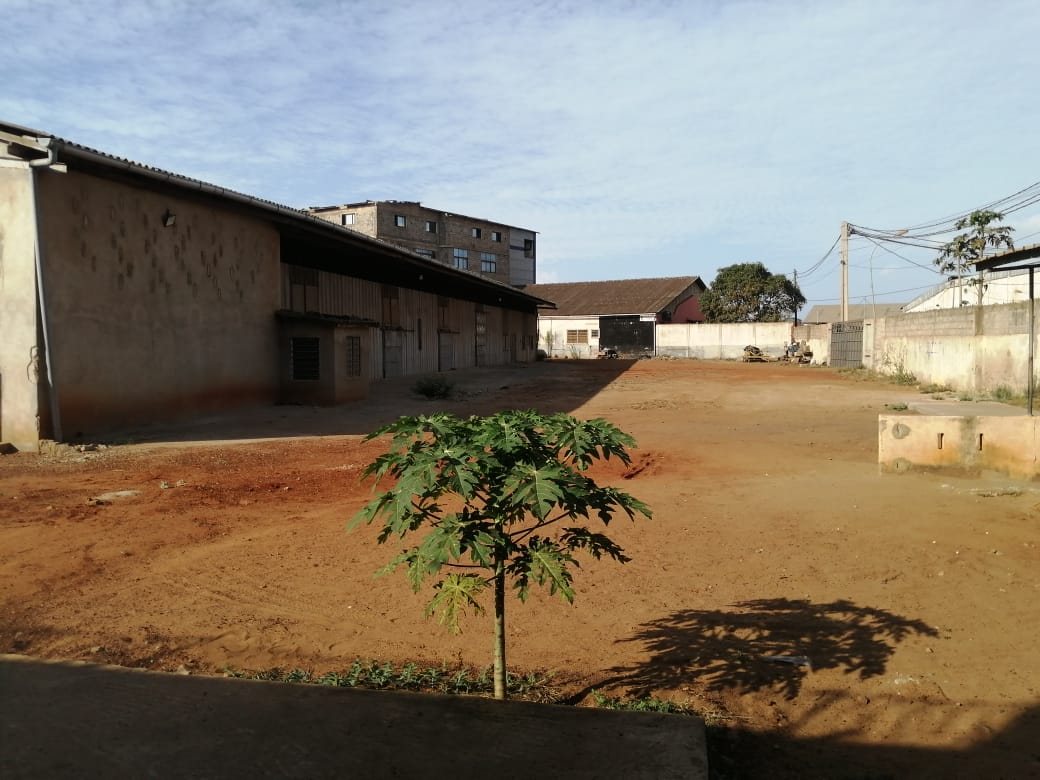 Grand entrepôt à louer dans la zone portuaire (Grand Moulin) – 2 millions 500 FCFA