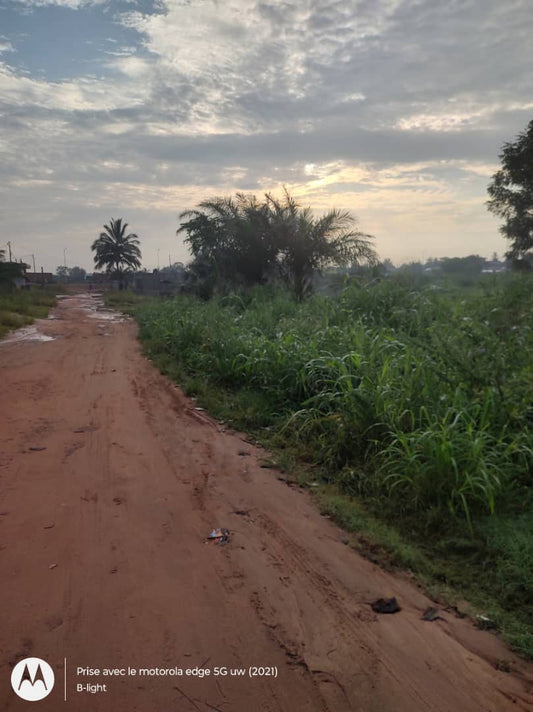 Terrain à vendre à Adetikopé – 40 millions FCFA le lot