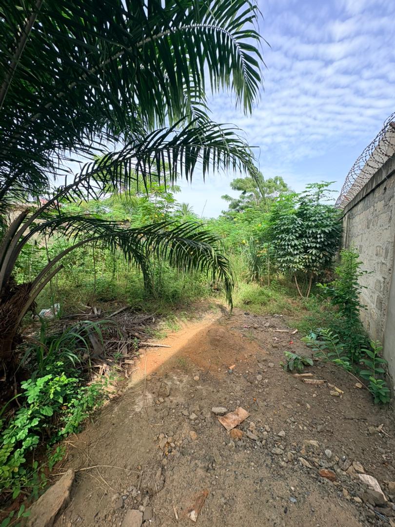 Terrain d'un demi lot en vente à Zanguéra – 13 millions FCFA