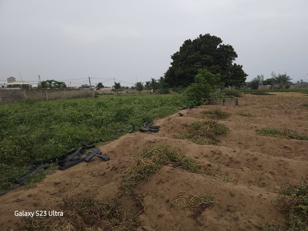 Terrain de 2100 m² en vente à Baguida Centre Aéré de la BCEAO – 150 millions FCFA