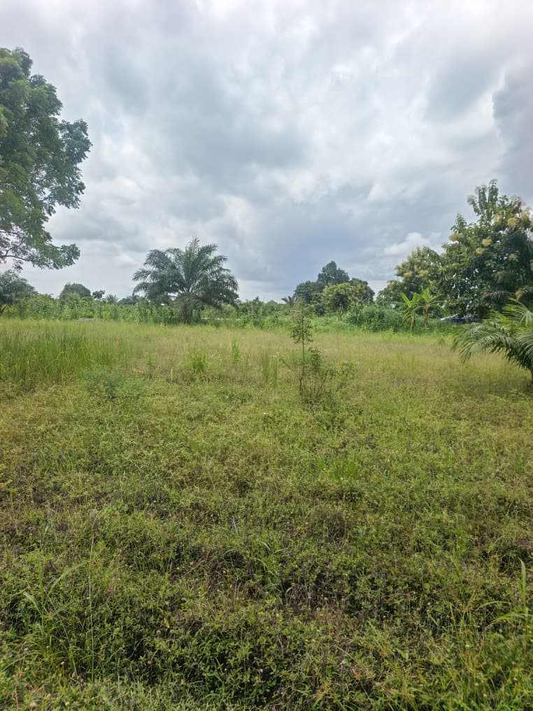 Terrain en vente à Fokpo 1 – 1 lot proche du goudron à 2 000 000 FCFA