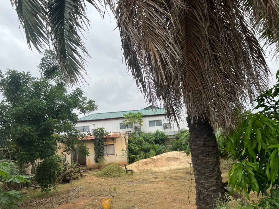 Terrain de 600 m² en vente à Agbalepedo – 55 millions FCFA