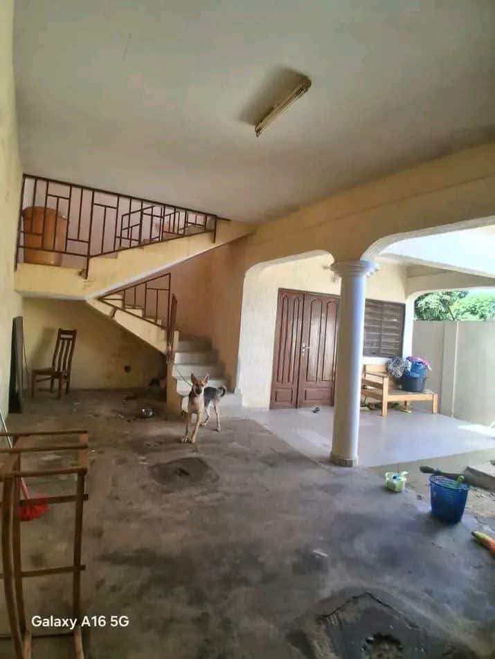 Terrain de 600 m² en vente, angle de rue et bord du goudron à Davié – 12 millions FCFA