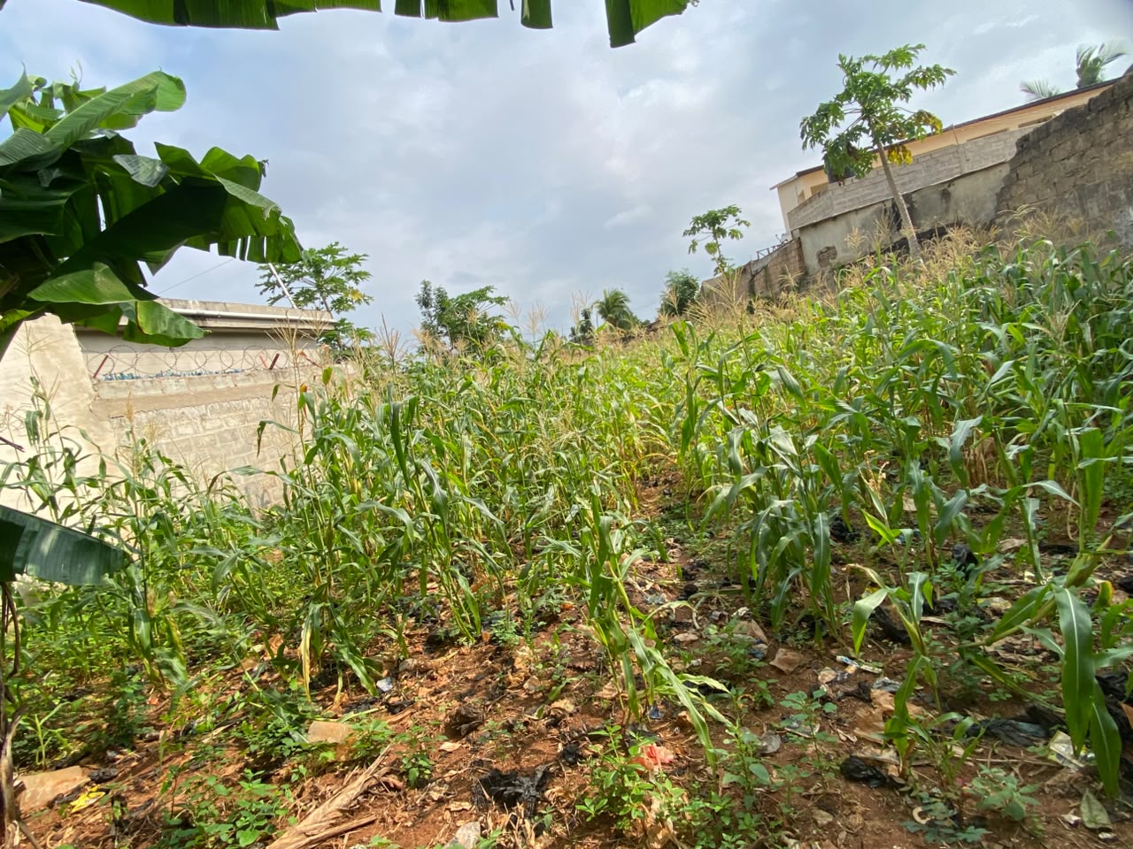 Terrain de 3/4 de lot à vendre à Adidogomé – 20 millions FCFA