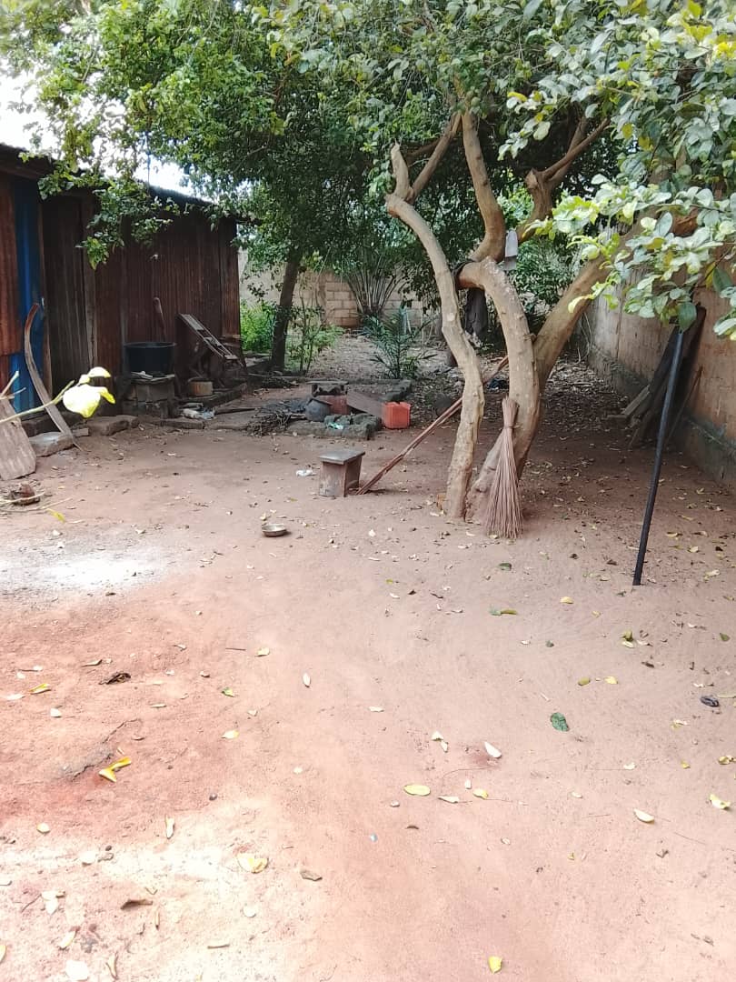 Terrain de 300 m² clôturé à Avedji – 14.5 millions FCFA