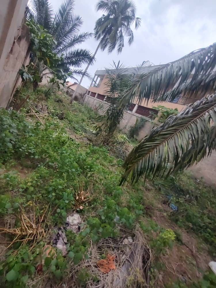 Terrain de 300 m² en vente à Adidogomé Logoté – 13 millions FCFA