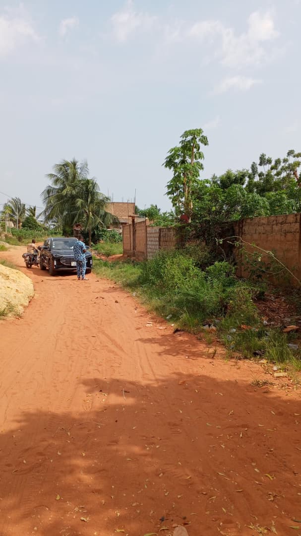 Terrain de 1200 m² en vente à Djagblé - 16 millions FCFA le lot